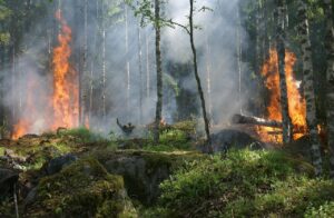Environmental conservation and climate landscape